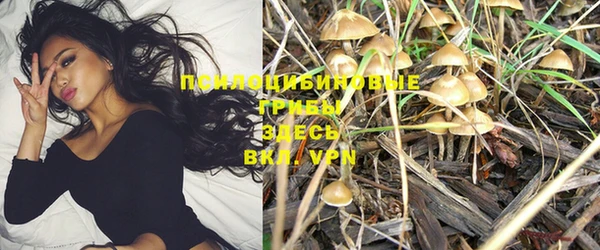 бошки Каменногорск