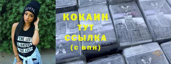 твердый Карпинск