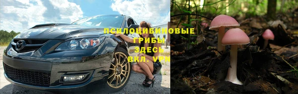 ПСИЛОЦИБИНОВЫЕ ГРИБЫ Корсаков